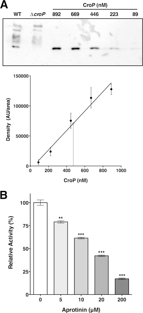 FIG 7