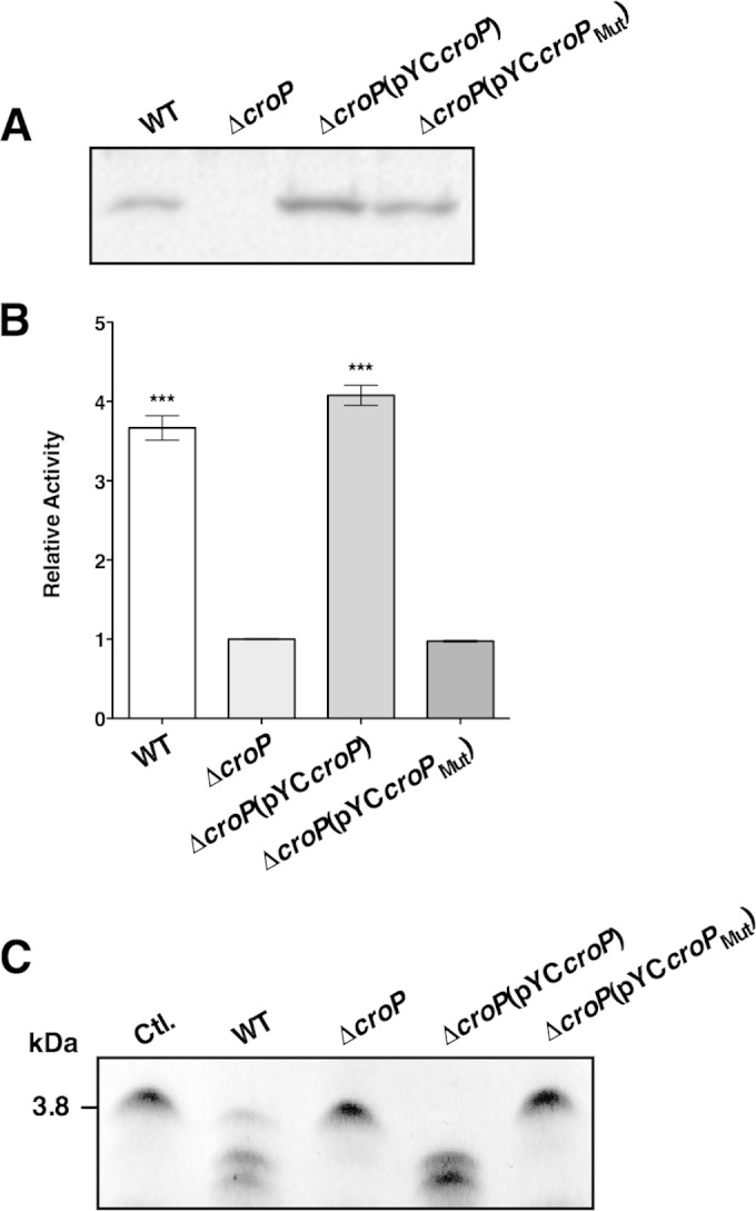 FIG 1