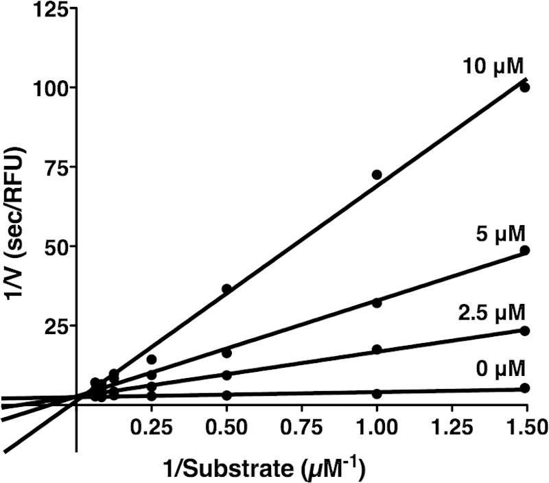 FIG 6