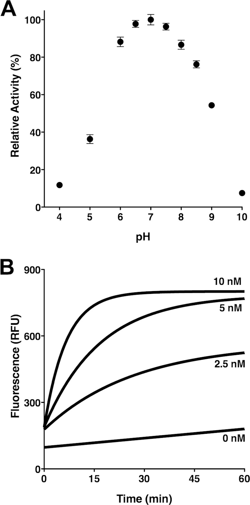 FIG 2