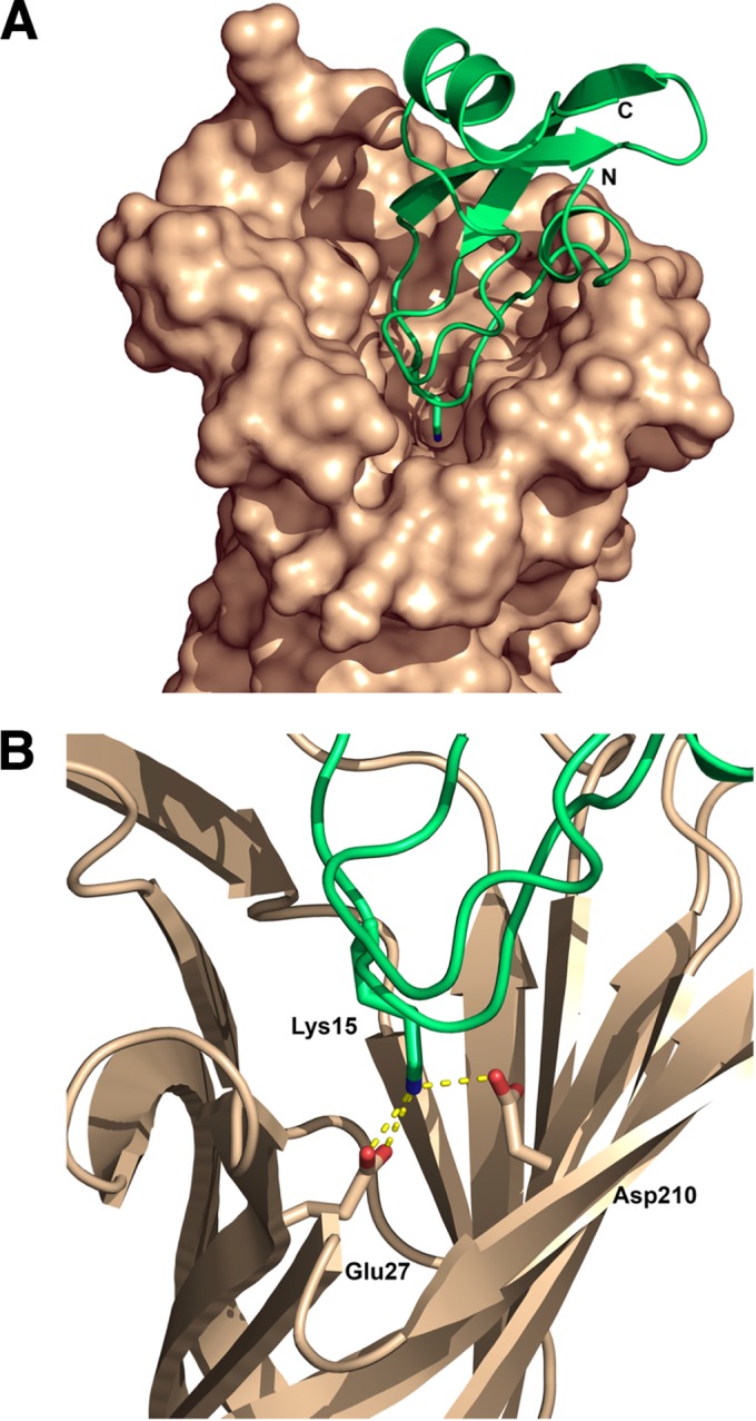 FIG 9