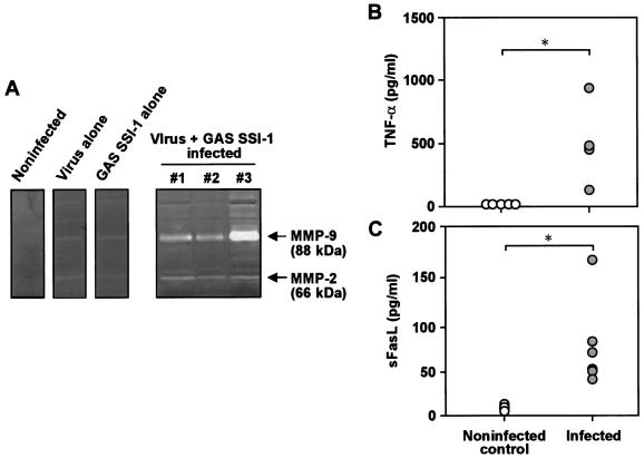 FIG. 7.