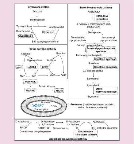 Figure 4. 