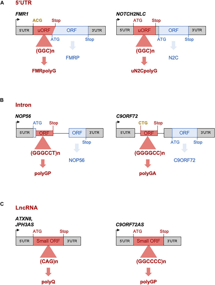 FIGURE 3