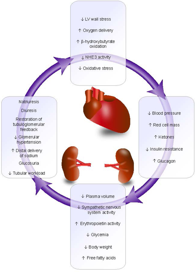 Figure 4