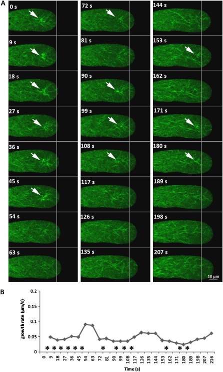 Figure 6.