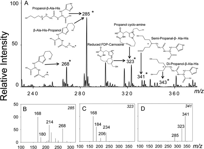 FIGURE 3.