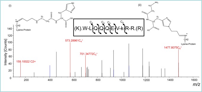 FIGURE 9.