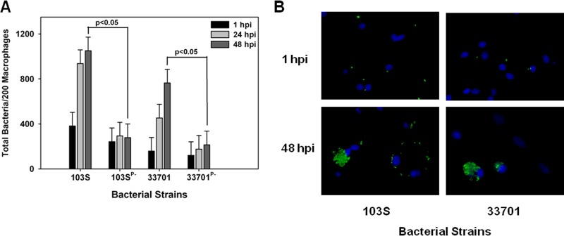 FIG 3 