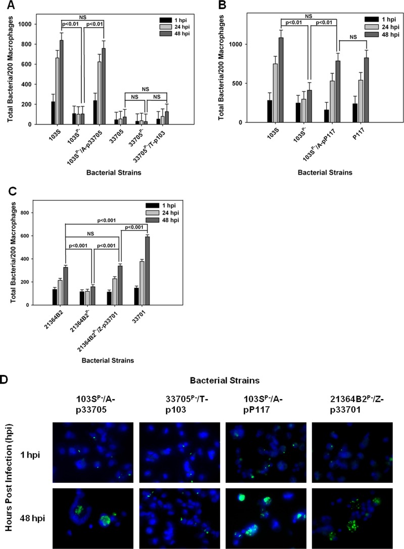 FIG 6 