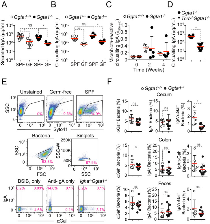 Figure 2—figure supplement 1.