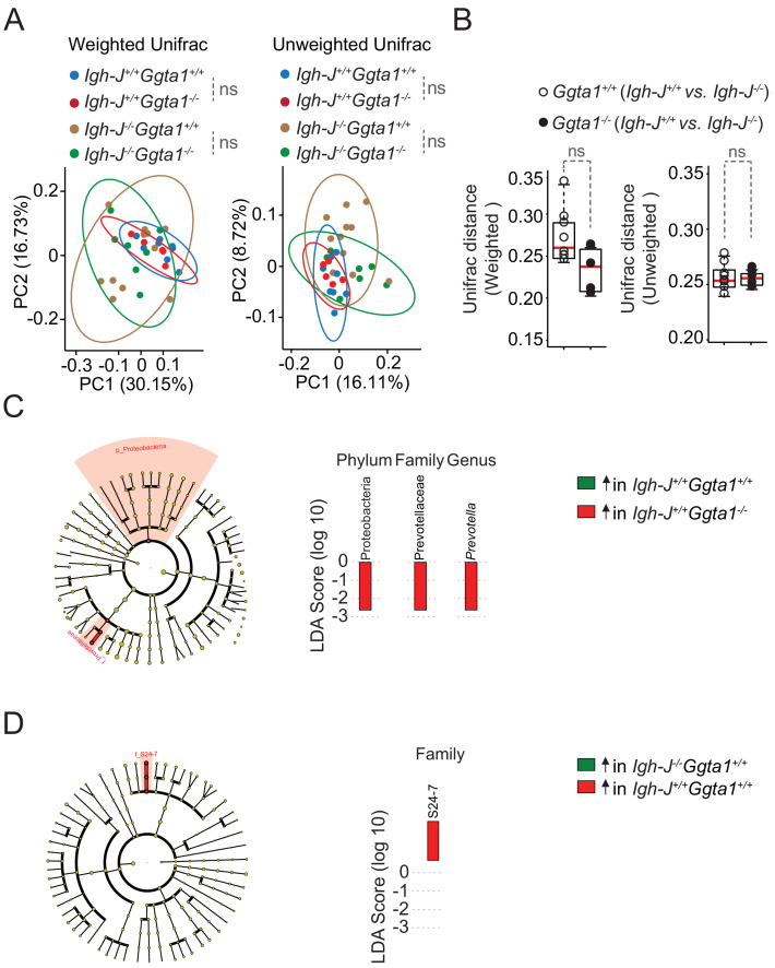 Figure 3—figure supplement 1.