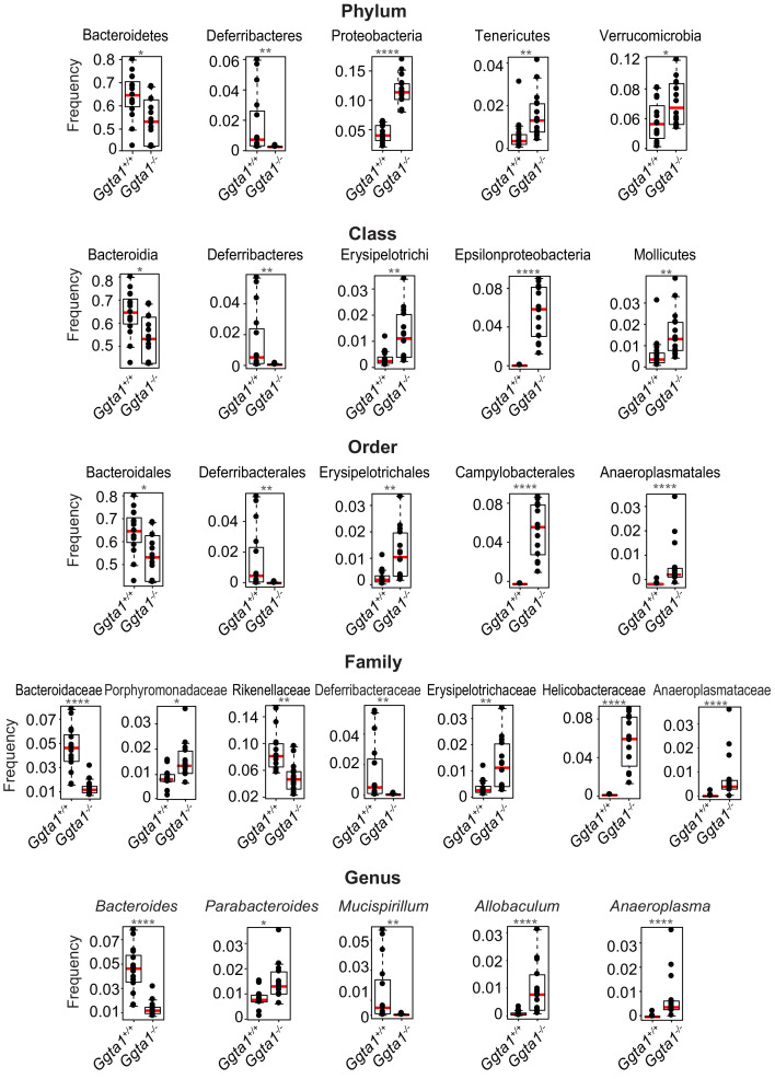 Figure 1—figure supplement 1.