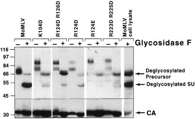 FIG. 4