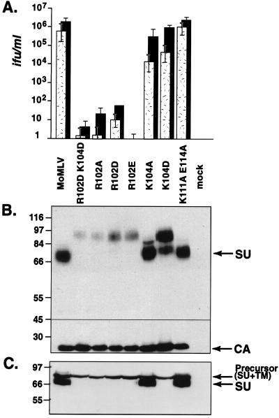 FIG. 1