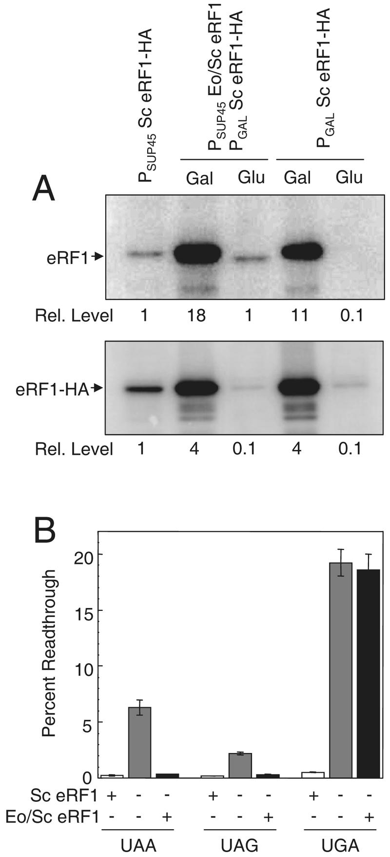 FIG. 6.