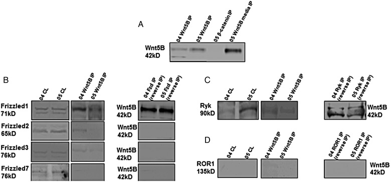 Fig. 3.