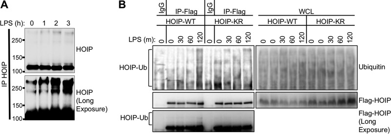 FIG 3 