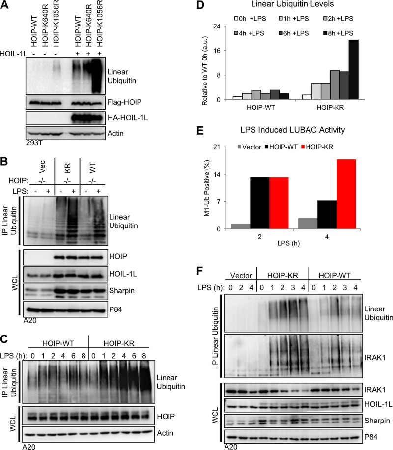 FIG 4 