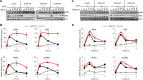 FIG 6