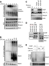 FIG 2