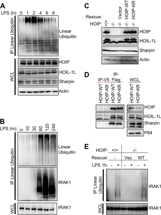 FIG 2 