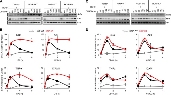 FIG 6 