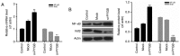 Figure 6.