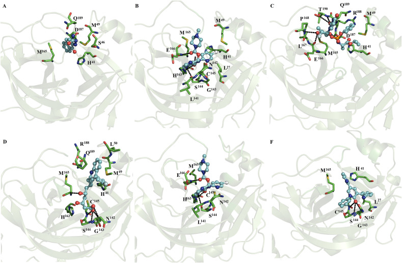 Fig. 1