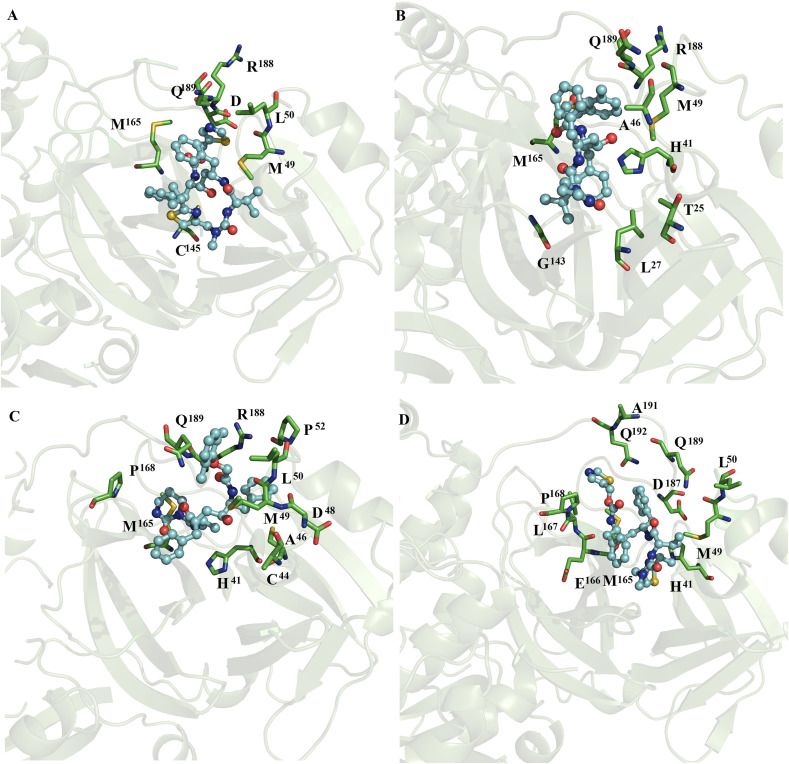 Fig. 8