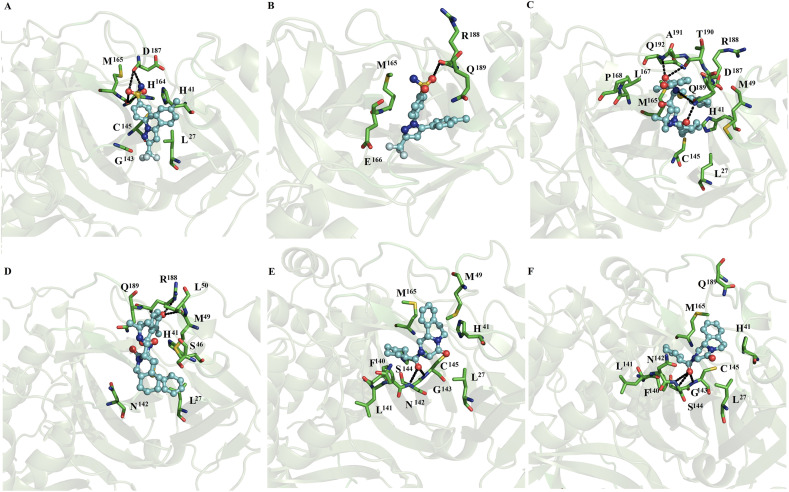 Fig. 6