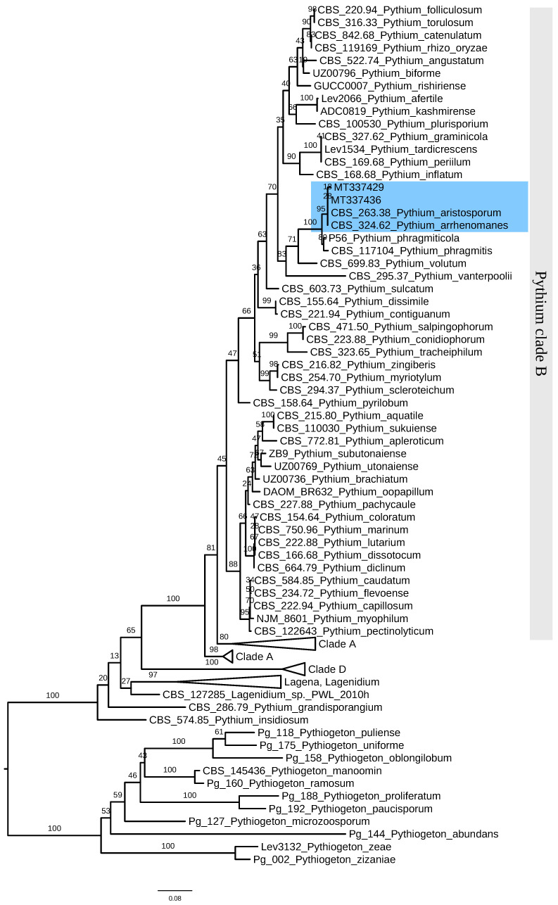 Figure 2