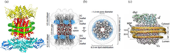 FIGURE 3