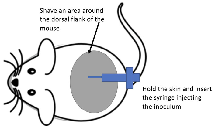 Figure 1.