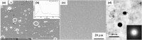 Fig. 12