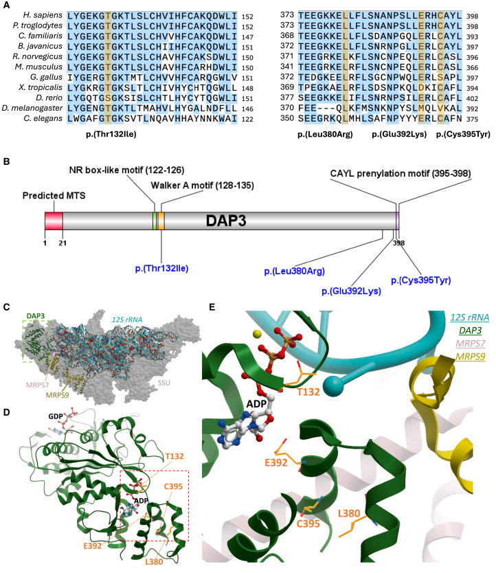 Figure 2