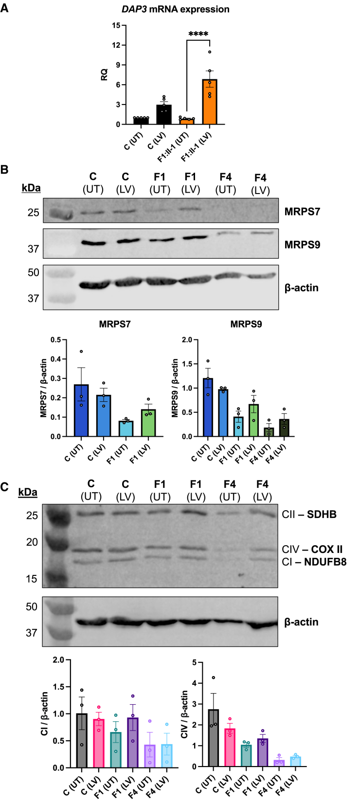 Figure 5