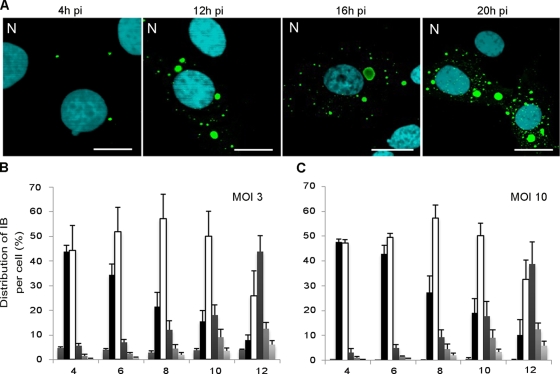 FIG. 3.