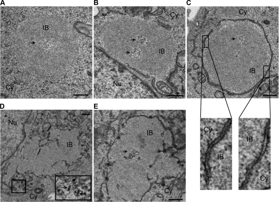 FIG. 4.