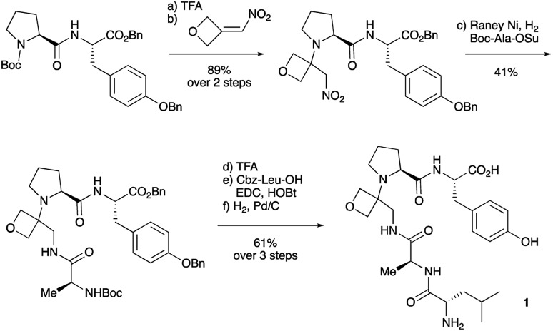 Scheme 2