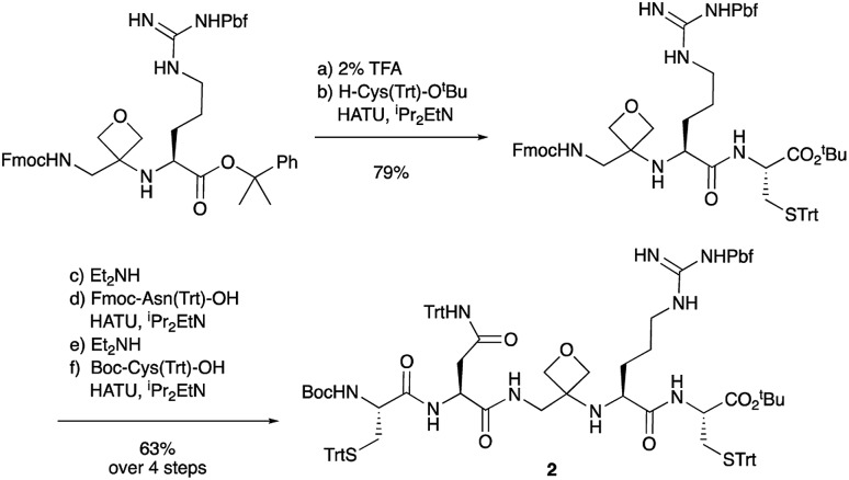 Scheme 3