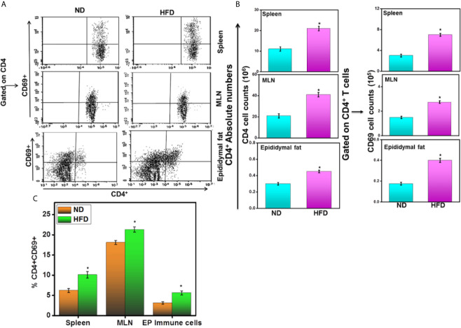 Figure 4