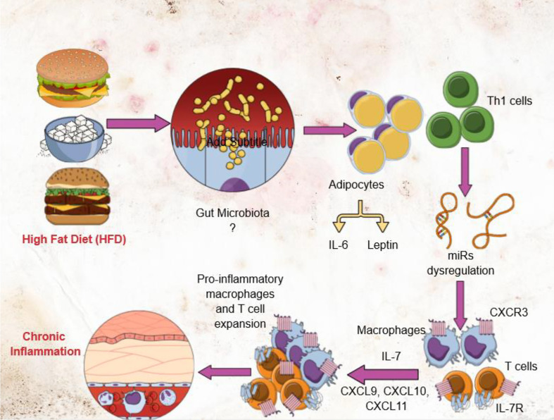 Graphical Abstract