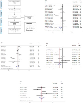 graphic file with name FSN3-11-4912-g004.jpg
