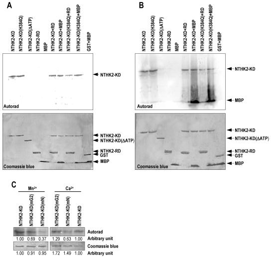 Figure 6.