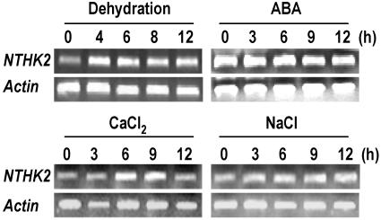 Figure 7.