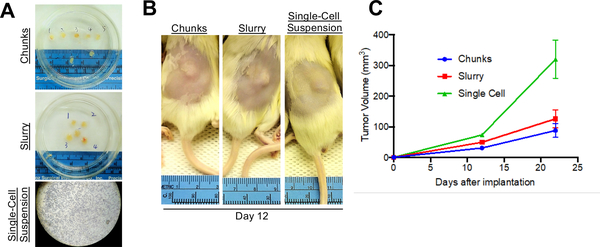 Figure 2: