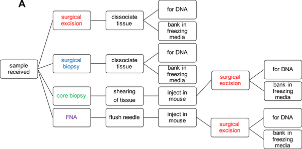 Figure 1: