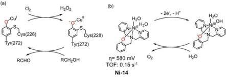 Figure 17