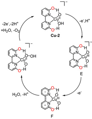 Figure 8